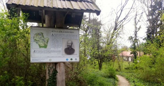 182990_jokaikert_3.kepny.jpg 182990_jokaikert_3.kepny.jpg