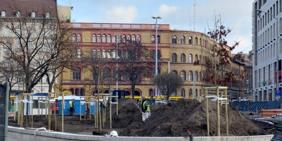 188066_blaha20211129_123014.jpg