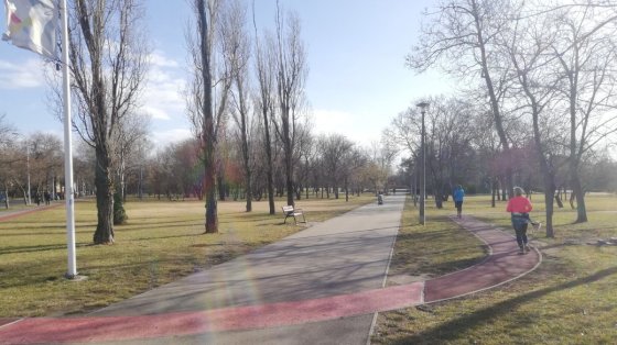 190476_asarga7a.jpg 190476_asarga7a.jpg