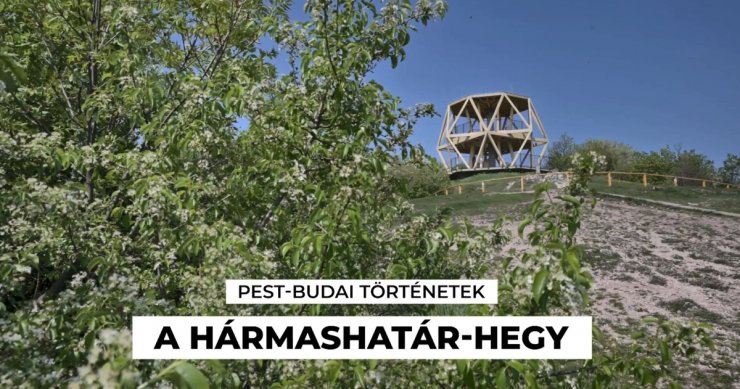 194464_301202275_823335295695531_6383862212580713112_n.jpg 194464_301202275_823335295695531_6383862212580713112_n.jpg