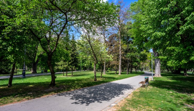 195424_dsc00399.jpg 195424_dsc00399.jpg