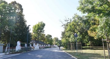 200712_kopp1_1_.jpg