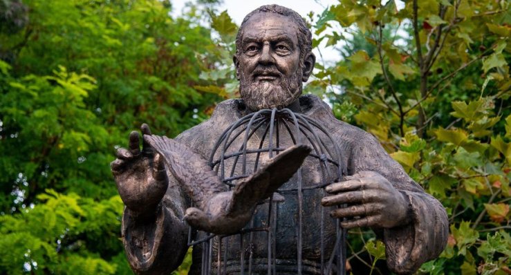 201002_376803343_697822359042811_5749704092585320596_n_1_.jpg 201002_376803343_697822359042811_5749704092585320596_n_1_.jpg